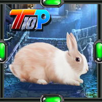 play Top10 Rescue The Rabbit