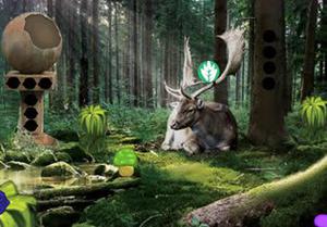 play Pine Forest Escape