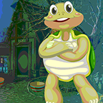 play Tortoise Rescue