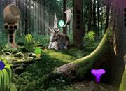 play Pine Forest Escape