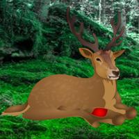 play Save The Wounded Deer