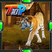 play Top10 Release The Tiger