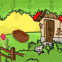 play The Tamarin Rescue