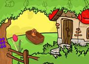 play The Tamarin