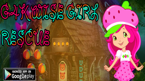 play Wise Girl Rescue