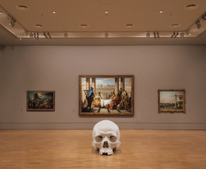 play Stock Photo Guided Tour