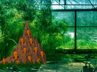 play Termite Mound Forest Escape