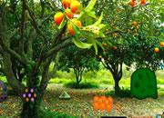 play Orange Tree Farm Escape