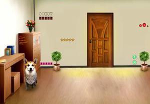 play Doors Escape Level 9