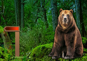 play Grizzly Bear Forest Escape