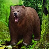 play Grizzly Bear Forest Escape