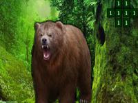 play Grizzly Bear Forest Escape