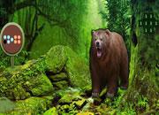 play Grizzly Bear Forest Escape