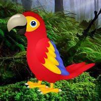 Macaw Green Forest Escape