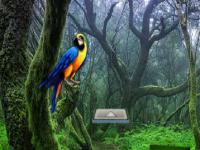 Macaw Green Forest Escape