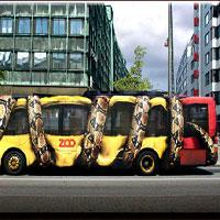 play Wild-Forest-Bus