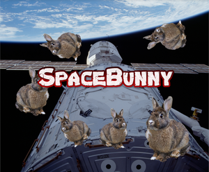 play Spacebunny