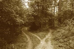 play The Road Not Taken