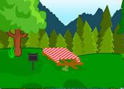 play Wilderness Escape