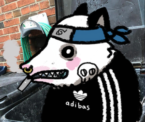 play Possum Dress Up