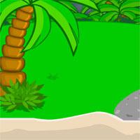 play Sd Escape Crazy Beach