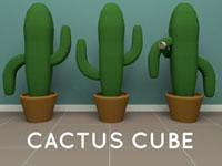 play Cactus Cube