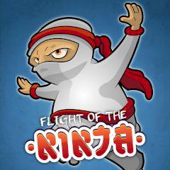 Flight Of The Ninja