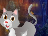 play Chase Cat Rescue