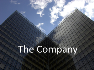 play The Company