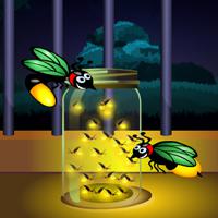 Hog Hidden Fireflies