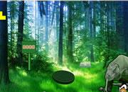 play Komodo Dragon Forest Escape