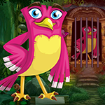 play Rosy Bird Rescue