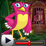 play Rosy Bird Rescue