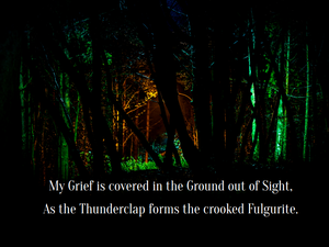 play Out Of The Forest