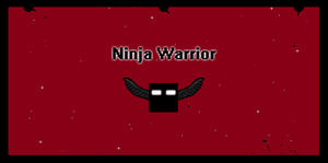 Ninja Warrior