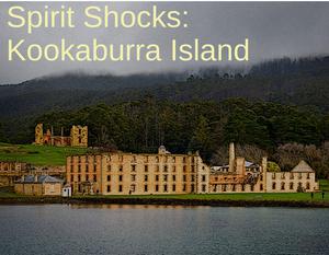 play Spirit Shocks: Kookaburra Island