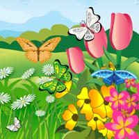 play Hidden Butterflies Hog