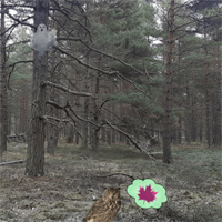 play Escapefan - Ainars Frozen Forest Adventure