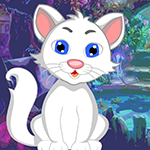 play White Cat Rescue
