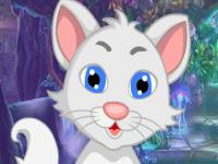 play White Cat Rescue