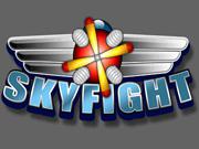 play Sky Fight