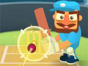 play Cricket Hero