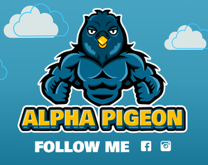 play Alpha Pigeon