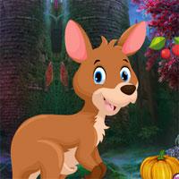 play G4K-Kangaroo-Escape