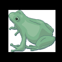 play Je Suis Une Grenouille