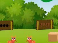 play Green Parrot Escape