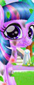 play Magical Pony Care