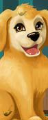 play Become A Puppy Groomer