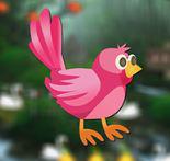 play Rescue Little Bird