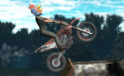 Bike Trial Xtreme Forest